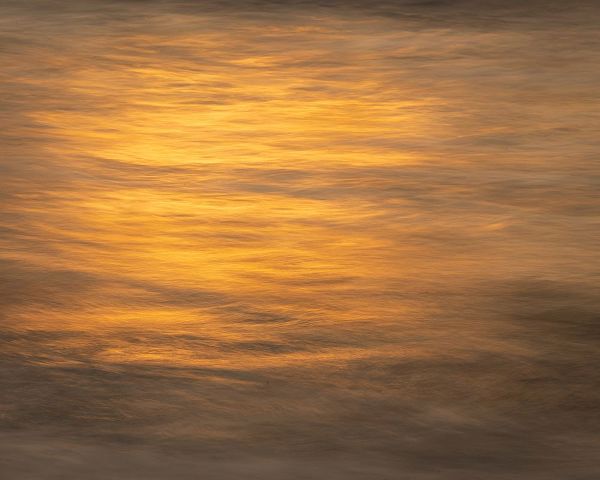 Jaynes Gallery 아티스트의 USA-New Jersey-Cape May National Seashore Ocean reflections at sunset작품입니다.
